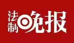 农村新闻线索如何爆料,共筑乡村振兴——新闻线索爆料纪实