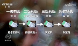 宅女爆料全过程视频,揭秘网络红人的幕后真相
