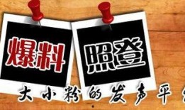 新闻在线官网爆料平台,聚焦社会热点，传递真实声音