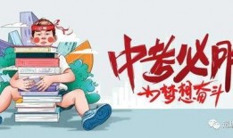 飞仔全网爆料最新消息,最新热点事件深度解析