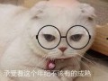 娱乐吃瓜君说刘二豆,娱乐吃瓜君揭秘娱乐圈新宠