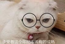 娱乐吃瓜君说刘二豆,娱乐吃瓜君揭秘娱乐圈新宠