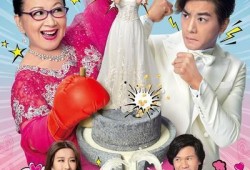 我的灿烂外母在线观看,揭秘现代家庭温馨故事