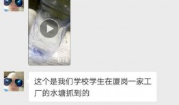 桃花孩子爆料视频,背后惊人真相曝光