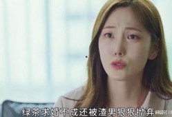 韩剧完美搭档在线观看