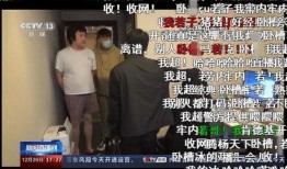 爆料惠安某主播视频大全,视频大全背后的精彩人生