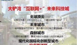 2025最新红装爆料,揭秘最新红装设计趋势与亮点