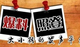 重庆新闻 爆料,揭秘重大事件背后真相